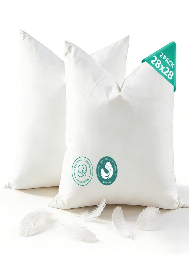 APSMILE Organic Cotton Goose Feather Down Plus Euro Throw Pillow Inserts, 28x28 Inch Set of 2, Soft Supportive Large Square Decorative Pillow Forms for Couch, Sofa, Bed - Image 1