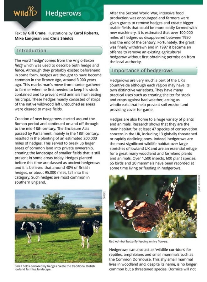 Guide to Hedgerows - Image 3