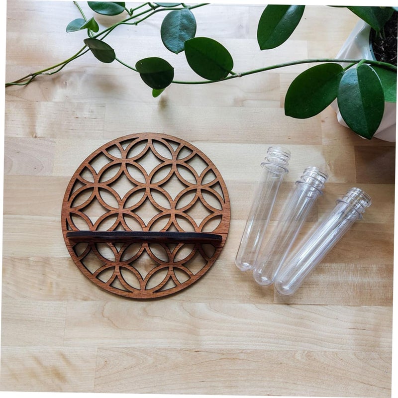 Round Hollow Wooden Plant Stand For Hydroponic Test Tube Vases Wall Hanging Planter Home Office Decor - Image 4