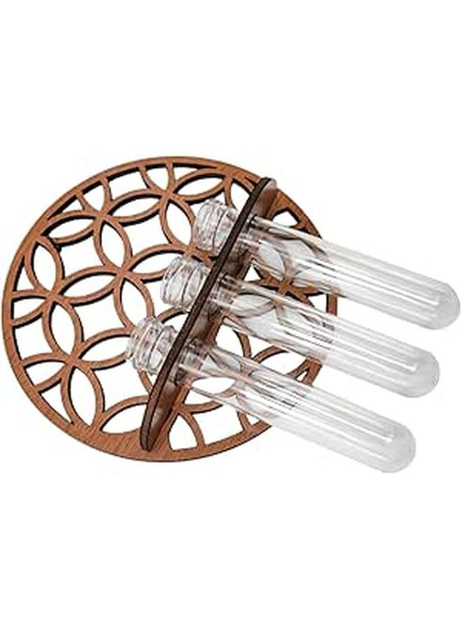 Round Hollow Wooden Plant Stand For Hydroponic Test Tube Vases Wall Hanging Planter Home Office Decor - Image 1