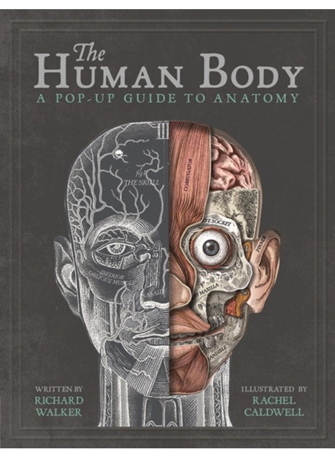 جسم الإنسان: دليل مفاجئ للتشريح - غلاف صلب