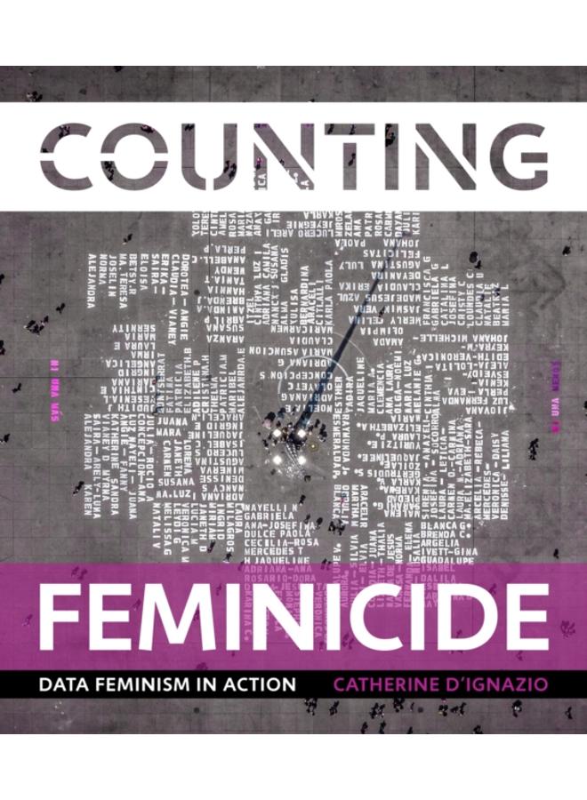 Counting Feminicide : Data Feminism in Action 