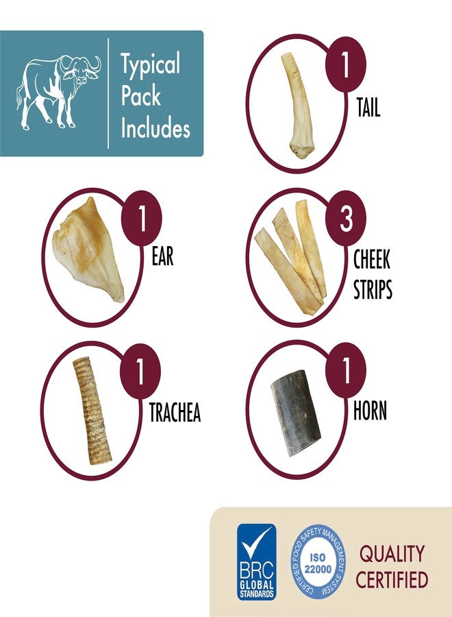 Wild Eats Dog Chews, Water Buffalo Prime Select, 7 Pack (Long Lasting Chews, Dog Bone Assortment, Grain Free, Gluten Free, 0.56 lbs) - Image 5