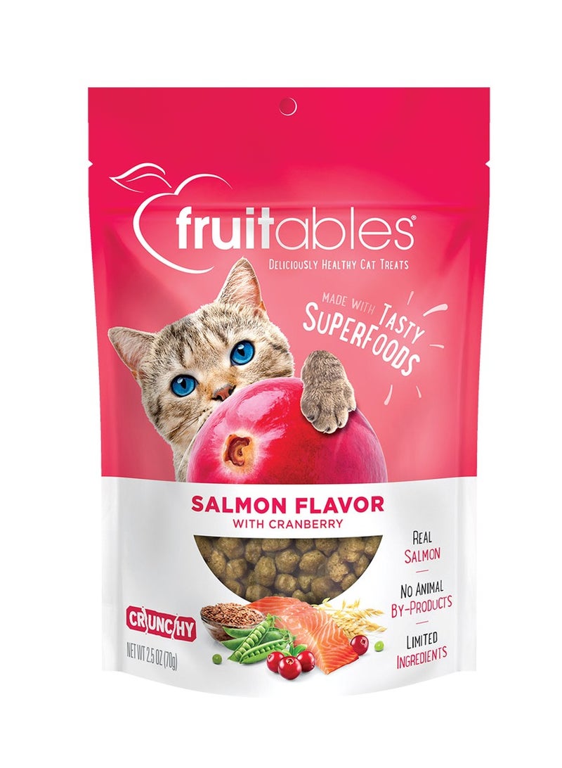 Fruitables Salmon Flavor with Cranberry Cat Treats 70g - Image 1
