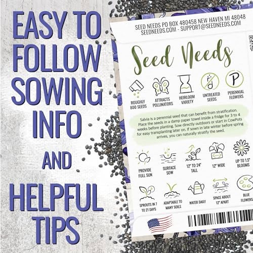 Seed Needs Sapphire Blue Sage Seeds for Planting - Heirloom & Open Pollinated Salvia - Grow a Butterfly Garden with Perennial Flowering Plants (2 Packs) - Image 3