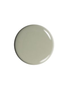 Dr.'s Remedy Enriched Nail Polish Serenity Sage 0.5 Fluid Ounce  - Image 3