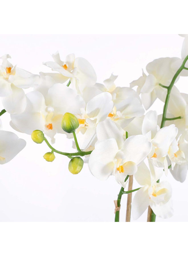 ساحل الشمس Suncoast Artificial Phalaenopsis In Pot-White  - Image 2