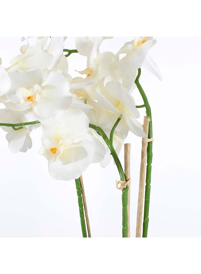 ساحل الشمس Suncoast Artificial Phalaenopsis In Pot-White  - Image 4