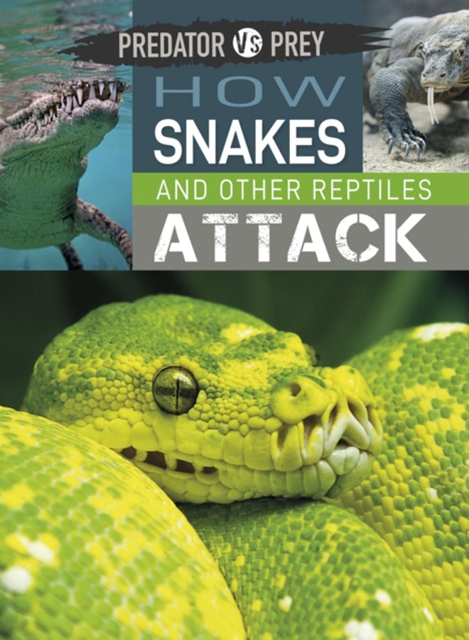 Predator vs Prey: How Snakes and other Reptiles Attack