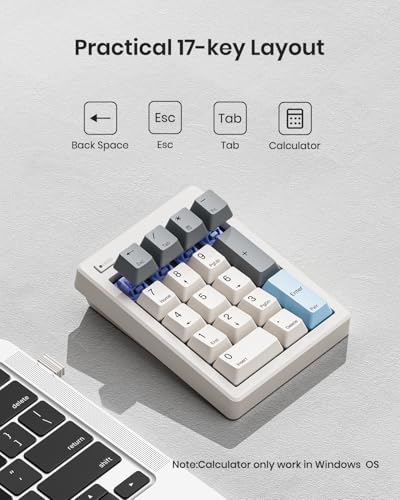 Kisnt FD17 Wireless Mechanical Number Pad, Bluetooth 5.0& 2.4G Dual Mode Numeric Keypad, 17 Keys Hot Swappable Numpad with PBT Keycaps for Laptop/PC/TKL Keyboards(Black, Linear Switch) - Image 3