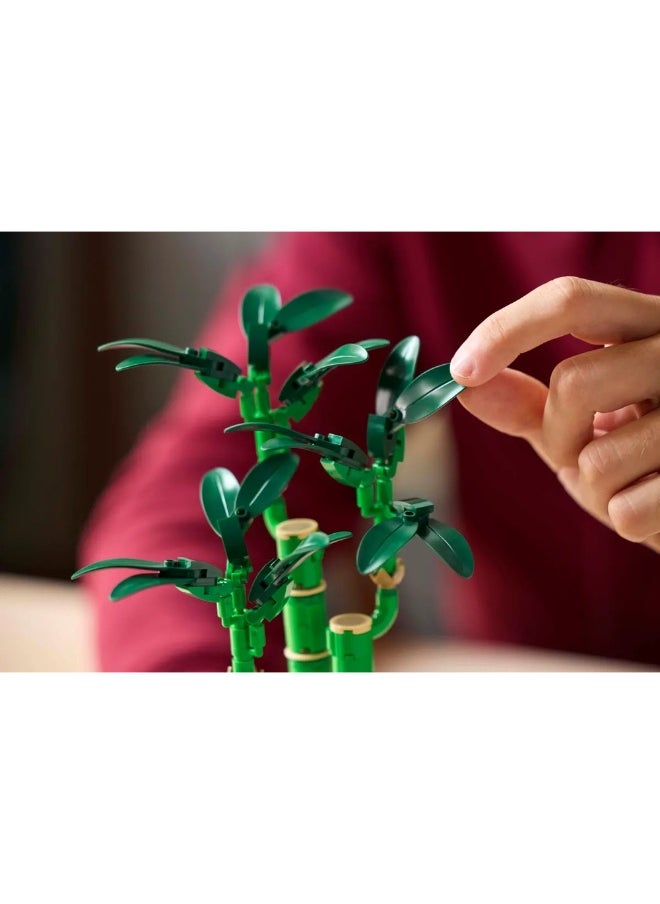 LEGO LEGO - Icons Lucky Bamboo 325 Pieces - 10344  - Image 3