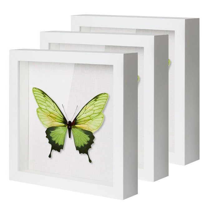 8X8 SHADOW BOXES DISPLAY CASES WITH SOFT LINEN BACK DEEP WOOD GLASS 3D SHADOW BOX SET FOR WALL AND TABLETOP 3 PACK WHITE