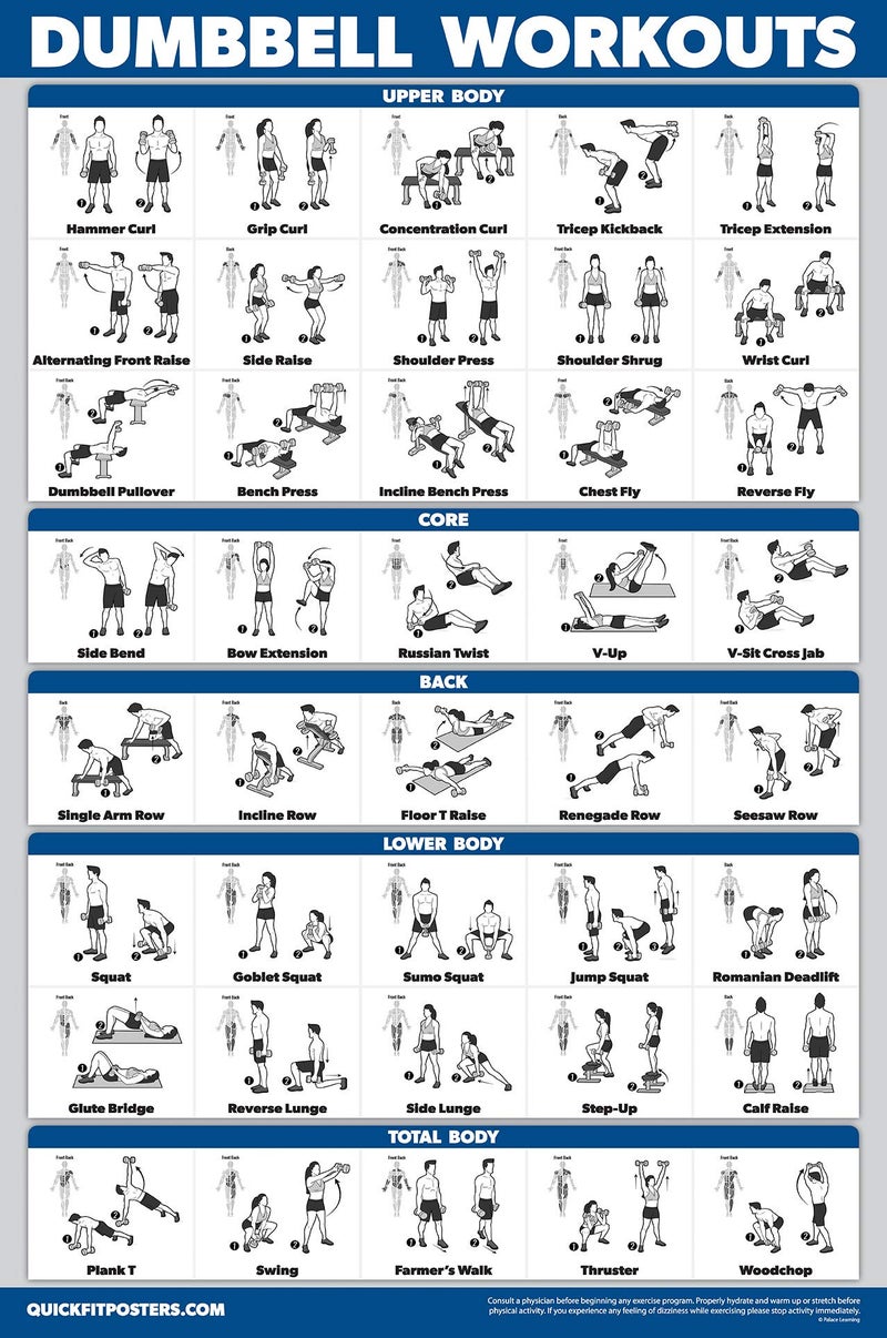 Palace Learning 4 Pack - Resistance Bands Workout Posters Volume 1, 2 & 3 + Dumbbell Exercise Chart (LAMINATED, 18" x 24") - Image 5