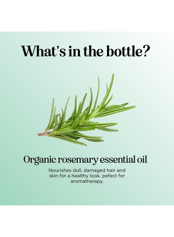 مايبل هوليستكس زيت إكليل الجبل العضوي المعتمد للشعر - كبير جدًا 100% زيت إكليل الجبل العطري العضوي المعتمد من وزارة الزراعة الأمريكية للشعر والبشرة والأظافر - زيت شعر عضوي لعلاج فروة الرأس الجافة وزيادة الحجم واللمعان - Image 3