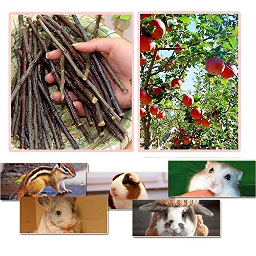William Craft Apple Sticks Pet Chew Toy Treats for Chinchilla Guinea Pigs Rabbits Squirrel Hamster Bunny - Image 3