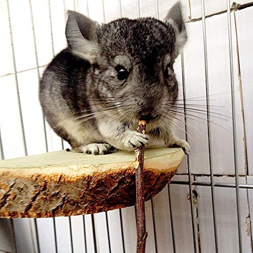William Craft Apple Sticks Pet Chew Toy Treats for Chinchilla Guinea Pigs Rabbits Squirrel Hamster Bunny - Image 5