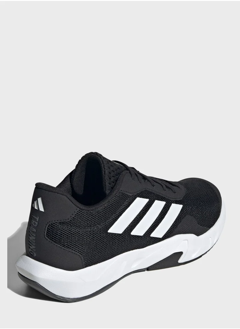 Adidas Amplimove Trainer