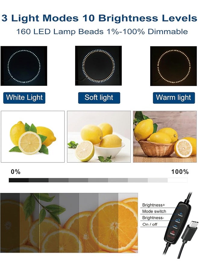 PULUZ 16"×16" Professional Photo Studio Light Box,PULUZ Portable Foldable Light Box Photography,Tri-Color Dimmable Photo Box Kit with 160 LED Lights & 6 Backdrops (12 Colors) for Product Photography  - Image 3