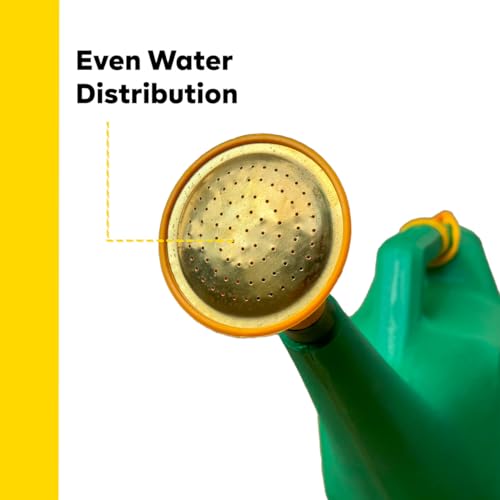 YUVCON Watering Can, Durable Plastic with Brass Nozzle, Useful for Both Indoor & Outdoor Watering (10 Liter) - Image 5