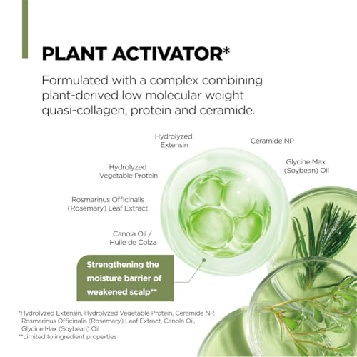 AMOS PROFESSIONAL Botanic Calm Activating Shampoo l Vegan Scalp & Hair Strengthening Shampoo with Rosemary and Biotin, Sulfate Free, 16.9 fl. oz. - Image 5