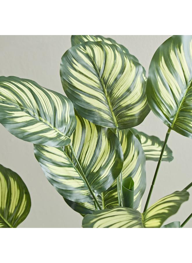 ثيودور شجرة كالاتيا صناعية 105 سم - Image 2