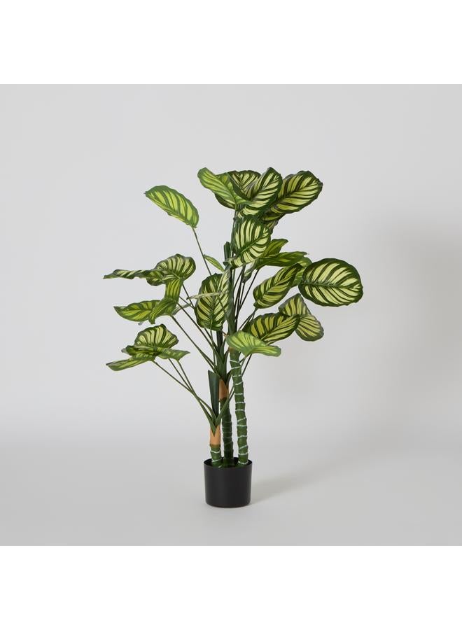 ثيودور شجرة كالاتيا صناعية 105 سم - Image 5