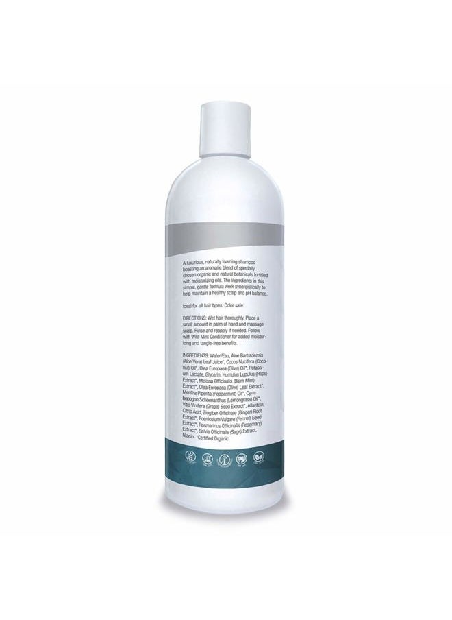 Organic Excellence - WILD MINT SHAMPOO, Chemical and Sulfate Free, All Natural Color Safe - 16 oz - Image 1