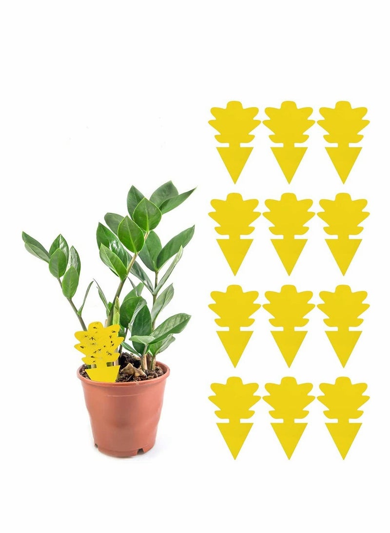 Excefore فخ لاصق، لاصق مزدوج الجوانب أصفر شكل خاص لوح لاصق للحشرات، فخ قاتل لذباب الفاكهة وذباب الفطريات داخلي وخارجي، يحمي النبات، غير سامة وبدون رائحة (12 حزمة، مخروط الصنوبر) - Image 1