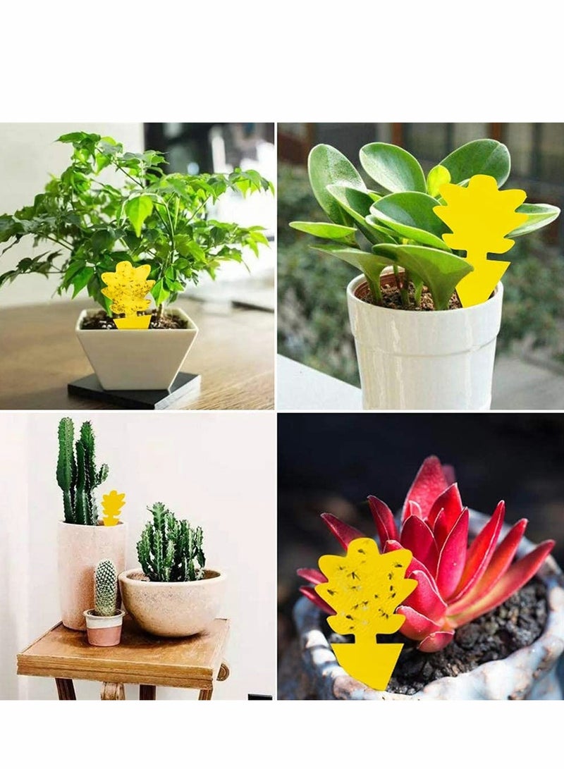 Excefore فخ لاصق، لاصق مزدوج الجوانب أصفر شكل خاص لوح لاصق للحشرات، فخ قاتل لذباب الفاكهة وذباب الفطريات داخلي وخارجي، يحمي النبات، غير سامة وبدون رائحة (12 حزمة، مخروط الصنوبر) - Image 5