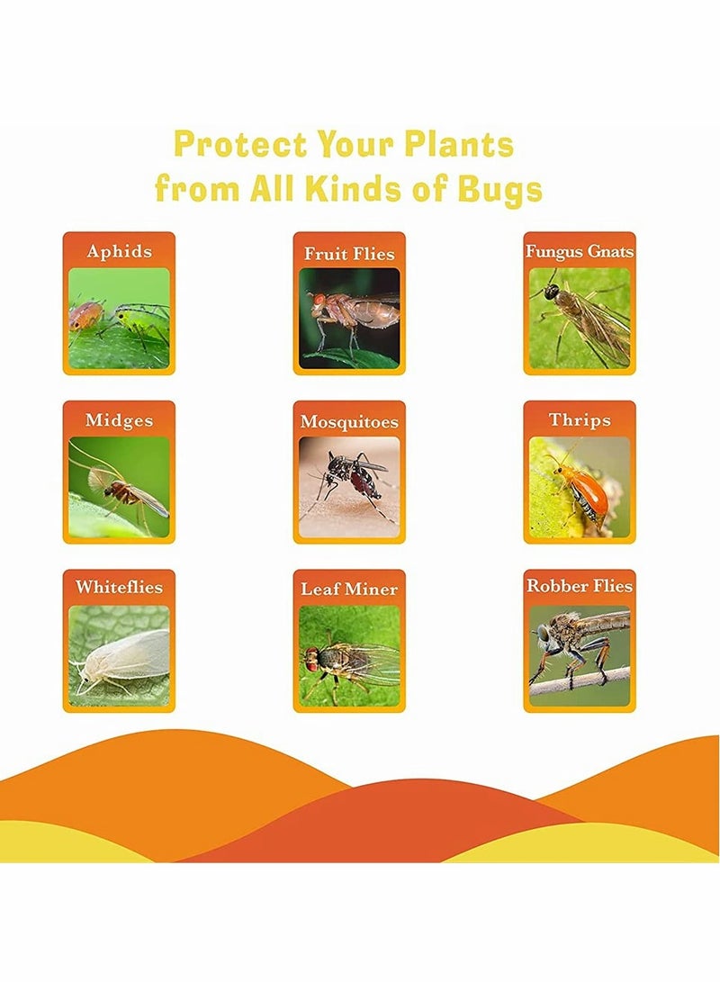 Excefore فخ لاصق، لاصق مزدوج الجوانب أصفر شكل خاص لوح لاصق للحشرات، فخ قاتل لذباب الفاكهة وذباب الفطريات داخلي وخارجي، يحمي النبات، غير سامة وبدون رائحة (12 حزمة، مخروط الصنوبر) - Image 2