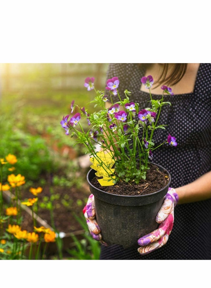 Excefore فخ لاصق، لاصق مزدوج الجوانب أصفر شكل خاص لوح لاصق للحشرات، فخ قاتل لذباب الفاكهة وذباب الفطريات داخلي وخارجي، يحمي النبات، غير سامة وبدون رائحة (12 حزمة، مخروط الصنوبر) - Image 4