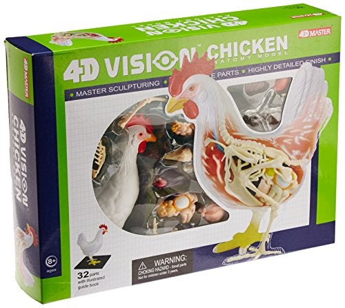 4D Master Vision Chicken Skeleton  Anatomy Model Kit One Color - Image 5