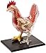4D Master Vision Chicken Skeleton  Anatomy Model Kit One Color - Image 2