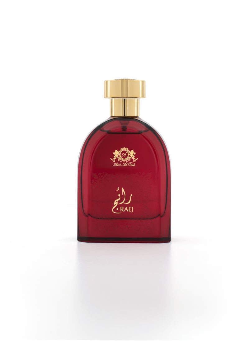 Ard Al Teeb Ard Al Teeb Raej Ea de Parfum for Man 100 ml  - Image 2