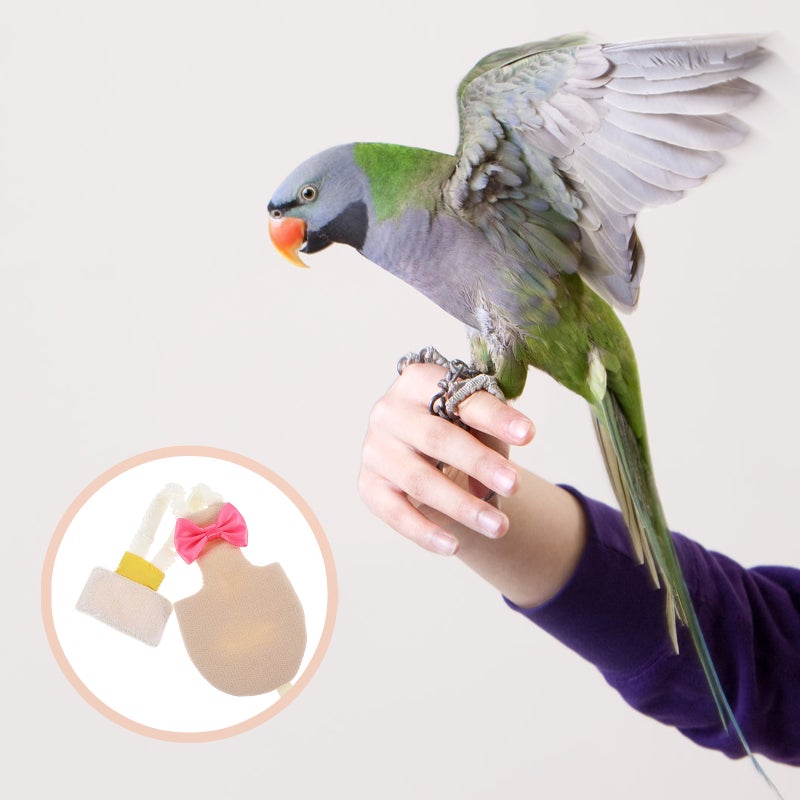 Pet Birds Flight Suit Diaper Parrot Diaper Bird Flight Clothes Diaper Parrots Nappies - Image 3