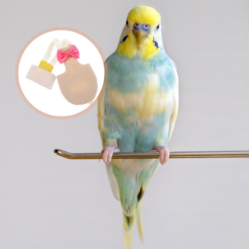 Pet Birds Flight Suit Diaper Parrot Diaper Bird Flight Clothes Diaper Parrots Nappies - Image 5