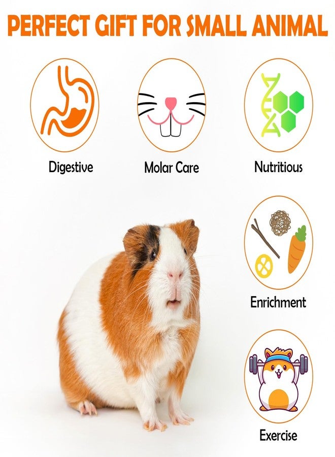 Sofier Guinea Pig Toys Tunnel Hideout Cage Accessories Chew Toys for Hamster Rabbit Ferret Rat Chinchilla Hedgehog Enrichment Playpen Boredom - Image 5