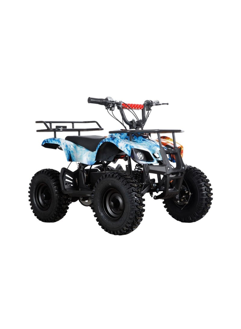 Quad Bike Electric ATV 36V Mix TG-250/PR025-01 - Image 1