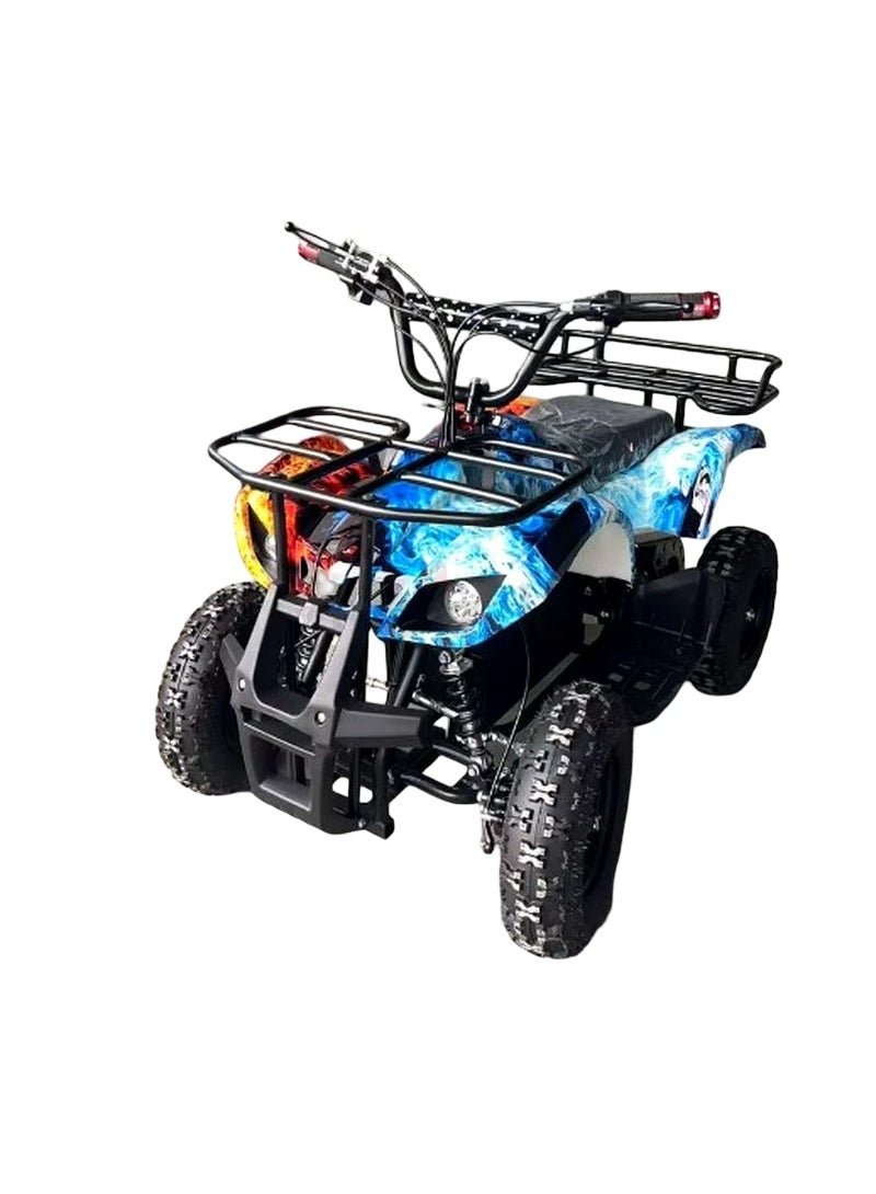 Quad Bike Electric ATV 36V Mix TG-250/PR025-01 - Image 2