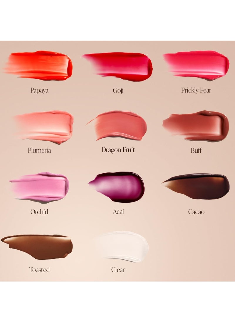 Saltair Saltair Hydrating Lip Oil Balm, Clear and Tinted Lip Gloss, Essentials Shades 5-Pack. Moisturizing Vegan Conditioning for Dry Cracked Lips with Glossy High-Shine Finish. Coconut Vanilla Flavor  - Image 1
