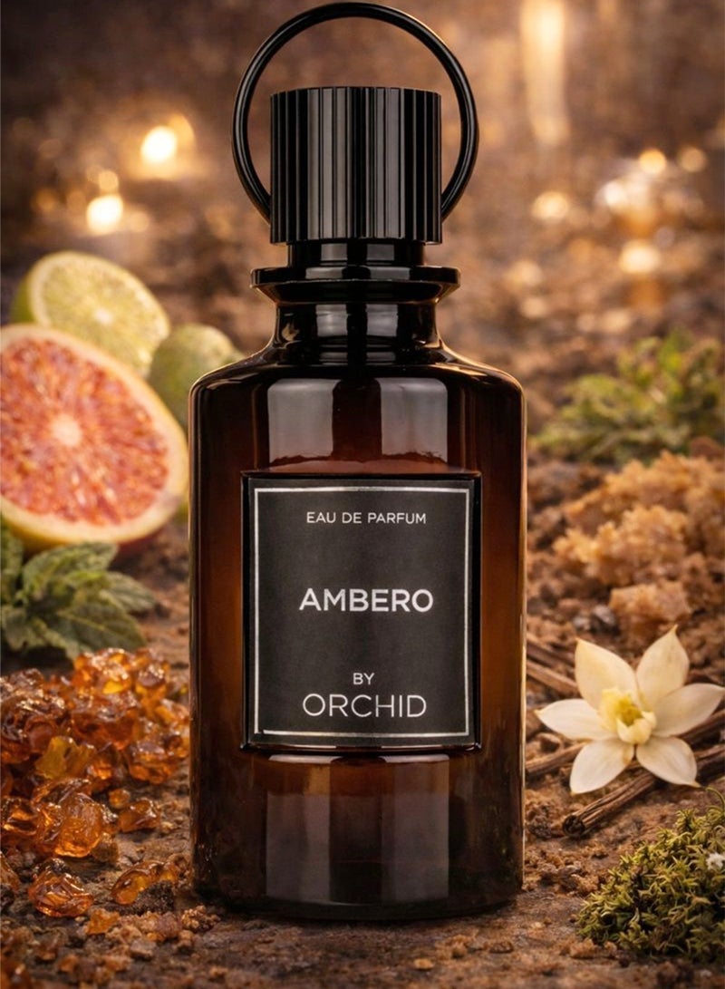 Orchid Ambero Eau De Parfum 100ML Perfume for Men Long Lasting Amber Woody Bergamot Grapefruit Apple Patchouli Vanilla Oakmoss - Image 4