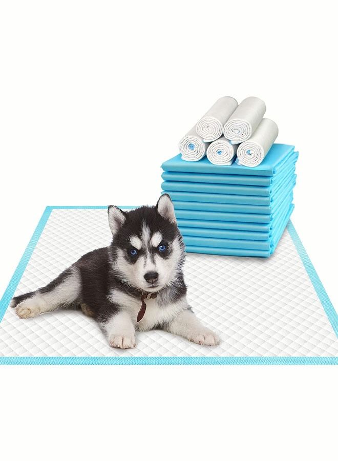 40 قطعة من وسادات الكلاب السميكة لتدريب الحيوانات الأليفة والجراء وسادات تبول فائقة الامتصاص للكلاب ومضادة للتسرب ومضادة للتسرب للكلاب والقطط والأرانب وسادات تبول الحيوانات الأليفة - Image 1