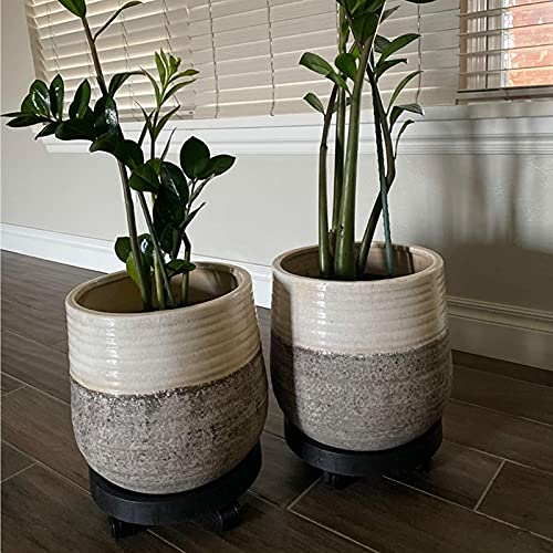 WanderingDonkey 2 Pack of 11 Inch Heavy Duty Plant Caddy with Wheels,Rolling Plant Stand Pot Trolley,Wheeled Planter Saucer Tray,Potted Flower Mover Dolly with Casters Round Coaster for Indoor Outdoor - Image 2