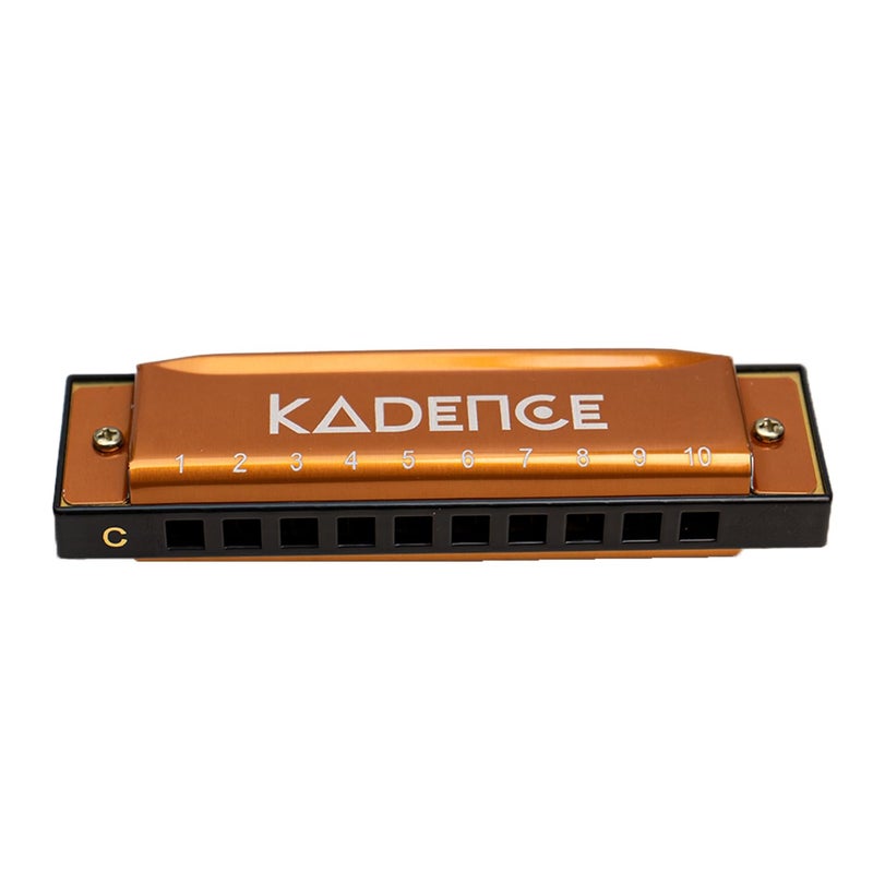 Kadence Daitonic Harmonica T104, With Learning course Key of C 10 Holes 20 tones Mouth Organ for Kids Adults and Beginners,with Hard Case (Gold) - Image 4