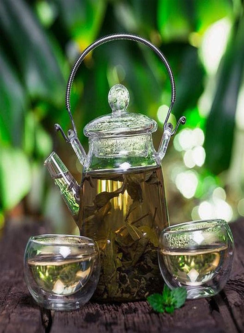 GGOOT 15Pcs Tea Tree Seeds Perennial Camellia Shrub Planting in Garden Courtyard Unique Gardening Decoration Has Ornamental Value - Image 2