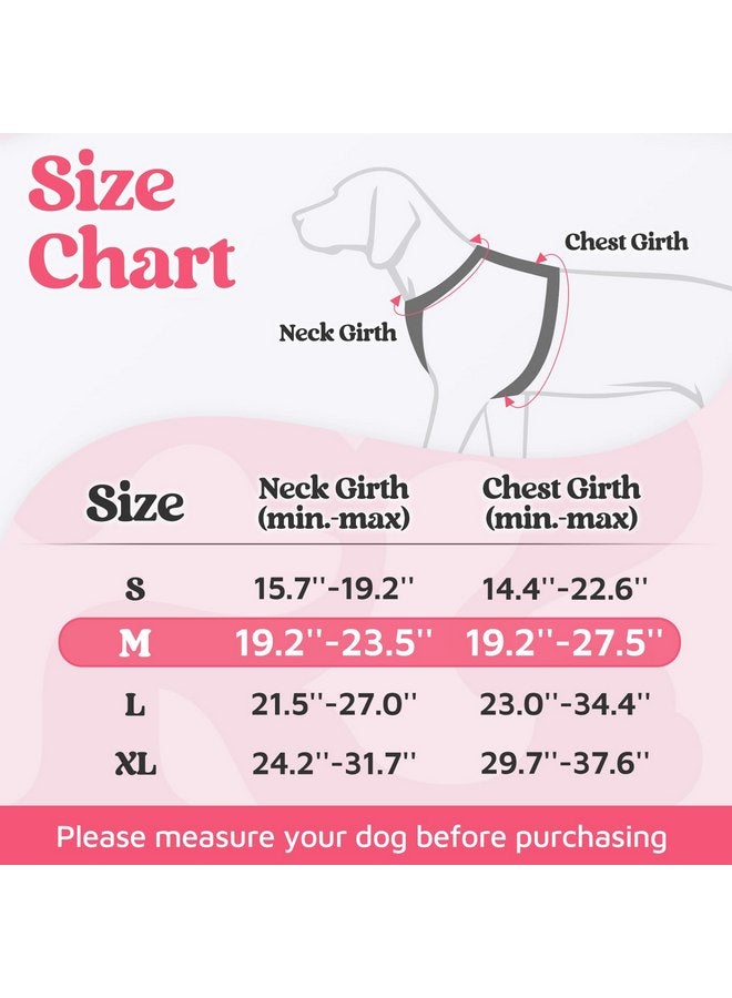 rabbitgoo Dog Harness Medium Sized, No Pull Dog Vest Harness with 3 Buckles, Adjustable Soft Padded Pet Harness with Easy Control Handle and Reflective Strips, Pink, M - Image 2