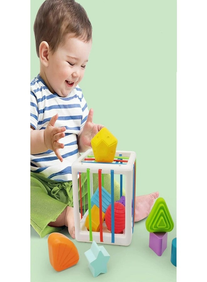 MAPA PLAY Child Shape Sorting Toy Montessori Sensory Toys with Blocks Colorful Cube and Alphabets, Shape Sorting Toy with Elastic Bands Fine Motor Skill, Preschool Learning Toys (Square-6+1) - Image 4