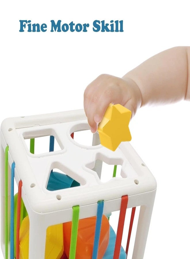MAPA PLAY Child Shape Sorting Toy Montessori Sensory Toys with Blocks Colorful Cube and Alphabets, Shape Sorting Toy with Elastic Bands Fine Motor Skill, Preschool Learning Toys (Square-6+1) - Image 3