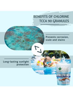 BLISS OF EARTH Bliss of Earth Japanese Chlorine Powder for Pool, Clean & Clear Swimming Pool, Kills Bacteria & Stops Algae, Pool Disinfectant Granular Chlorine 3x453gm  - Image 4