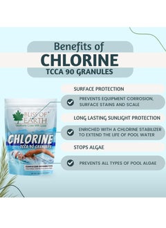 BLISS OF EARTH Bliss of Earth Japanese Chlorine Powder for Pool, Clean & Clear Swimming Pool, Kills Bacteria & Stops Algae, Pool Disinfectant Granular Chlorine 3x453gm  - Image 2